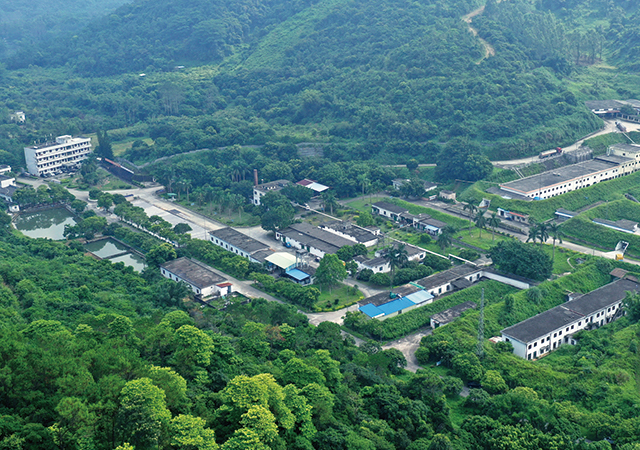 17289863830 17289863830