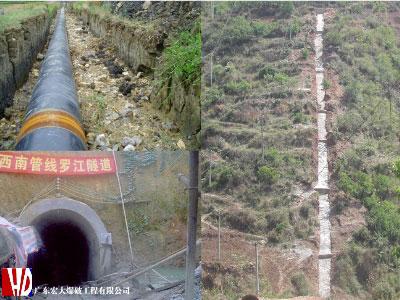 ������� �C �������,��������