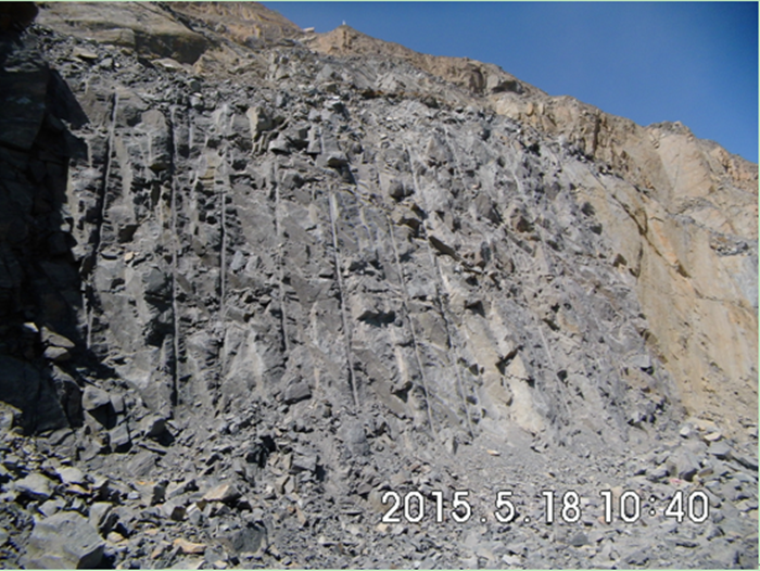 ������� �C �������,��������