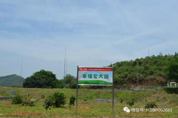 ������� �C �������,��������