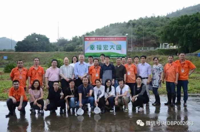 ������� �C �������,��������