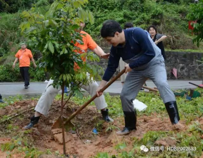 ������� �C �������,��������